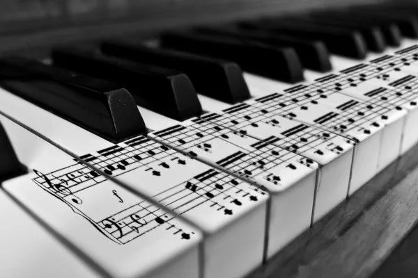 Teclas de piano con pentagrama (13811)