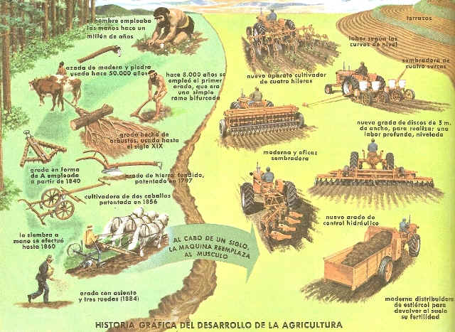 Tecnica: Actividad # 4