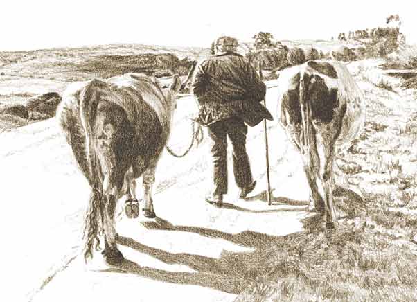 tecnica del grafito | Edgarmartir's Blog tecnica del grafito | Edgarmartir's Blog