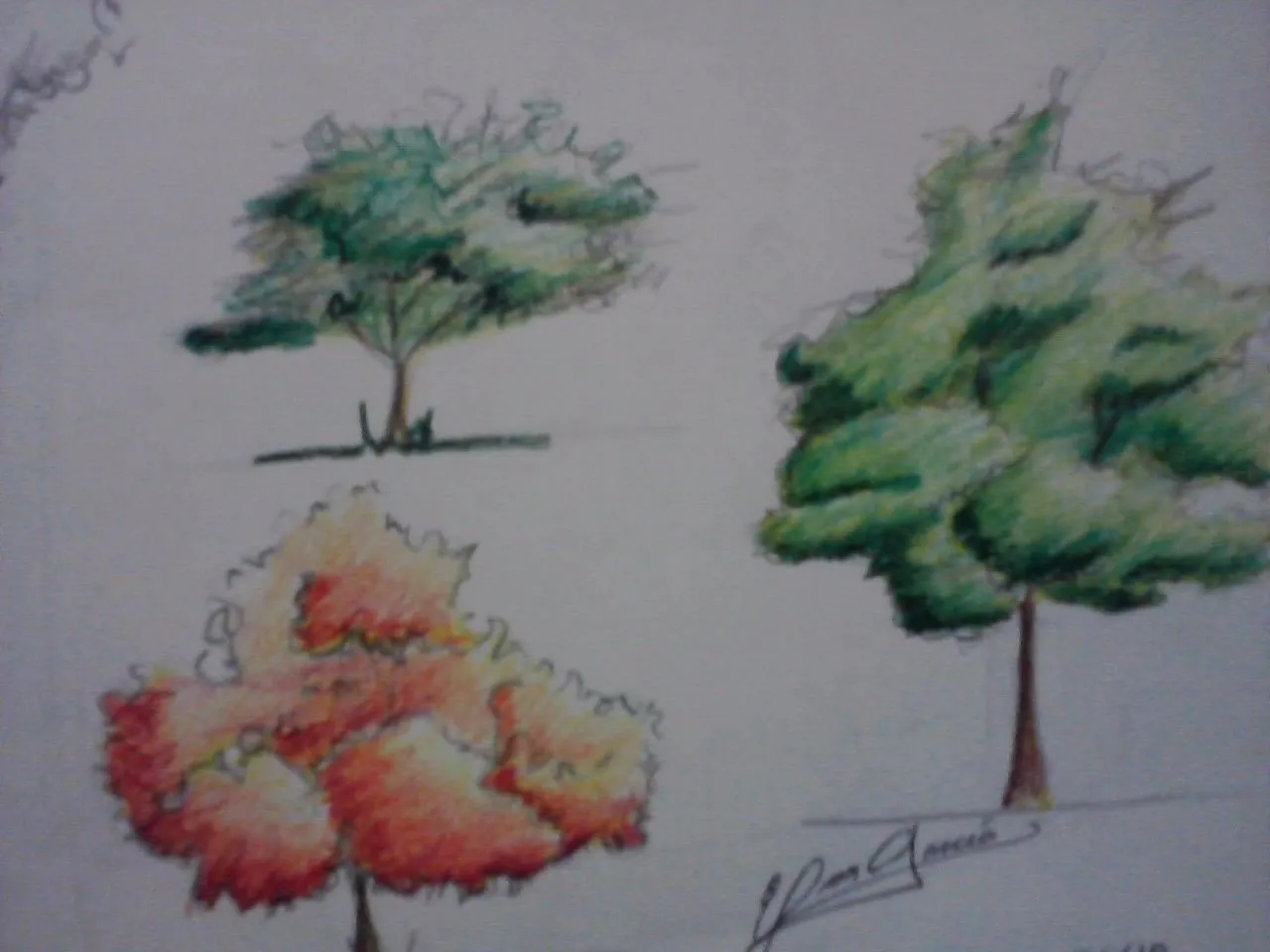 ... las tecnicas de dibujo de arboles tanto a crayon como a lapiz ... las tecnicas de dibujo de arboles tanto a crayon como a lapiz