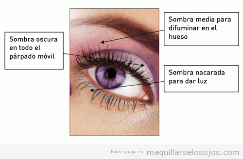 Qué sombra aplicar en cada parte del ojo | Maquillarse los ojos ... Qué sombra aplicar en cada parte del ojo | Maquillarse los ojos ...