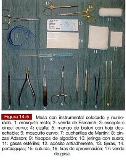 Técnicas medico-quirúrgicas enfermería: Charola de Mayo y Mesa Riñón Técnicas medico-quirúrgicas enfermería: Charola de Mayo y Mesa Riñón