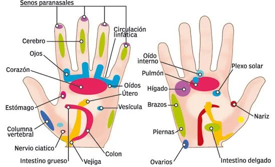 Técnicas Naturales de Sanación