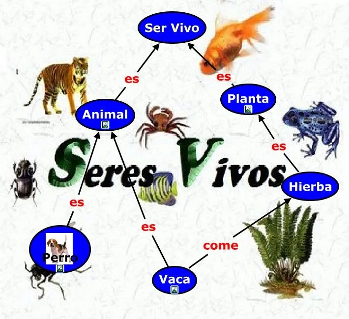 TECNOLOGIA : SERES VIVOS
