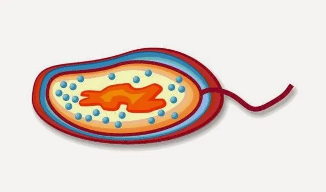 Tecnologías de la información Inés: DIAPOSITIVA ANIMADA Tecnologías de la información Inés: DIAPOSITIVA ANIMADA