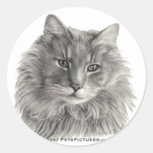 TeeGee, gato gris de pelo largo Etiquetas de Zazzle. TeeGee, gato gris de pelo largo Etiquetas de Zazzle.