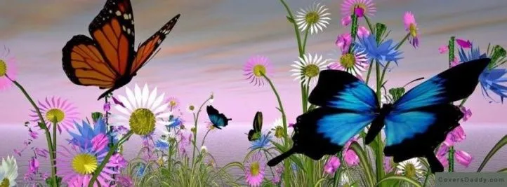 dos_mariposas__portadas_ ...