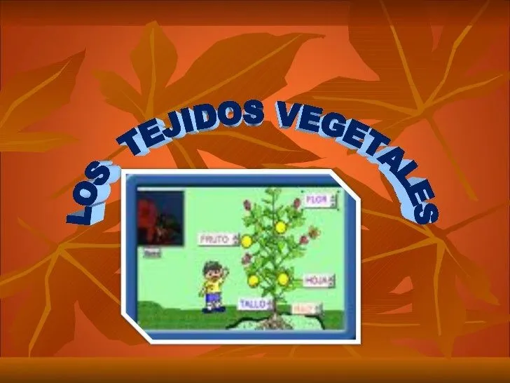 TEJIDOS VEGETALES