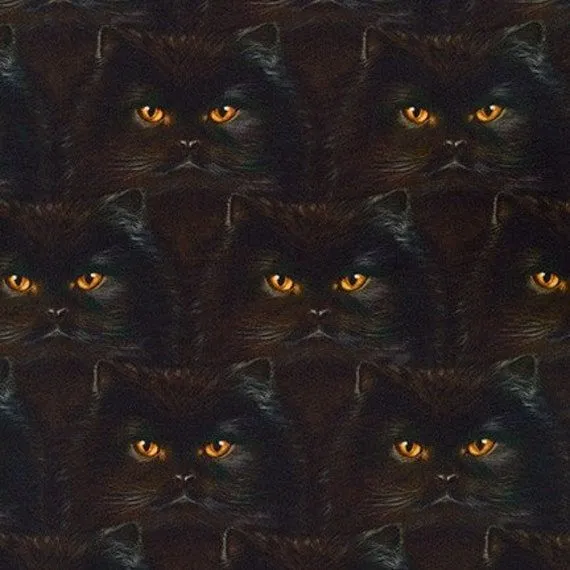 Tela de algodón Caras de Gato Gatos Nobles Tela de Gato - Etsy México
