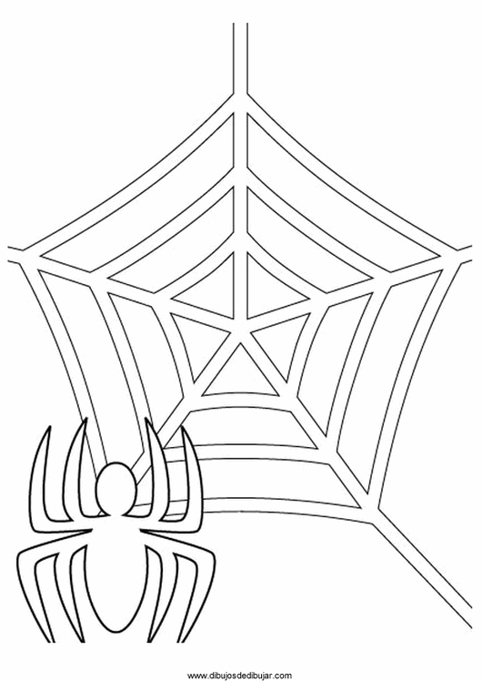 Tela de araña para dibujar - Imagui
