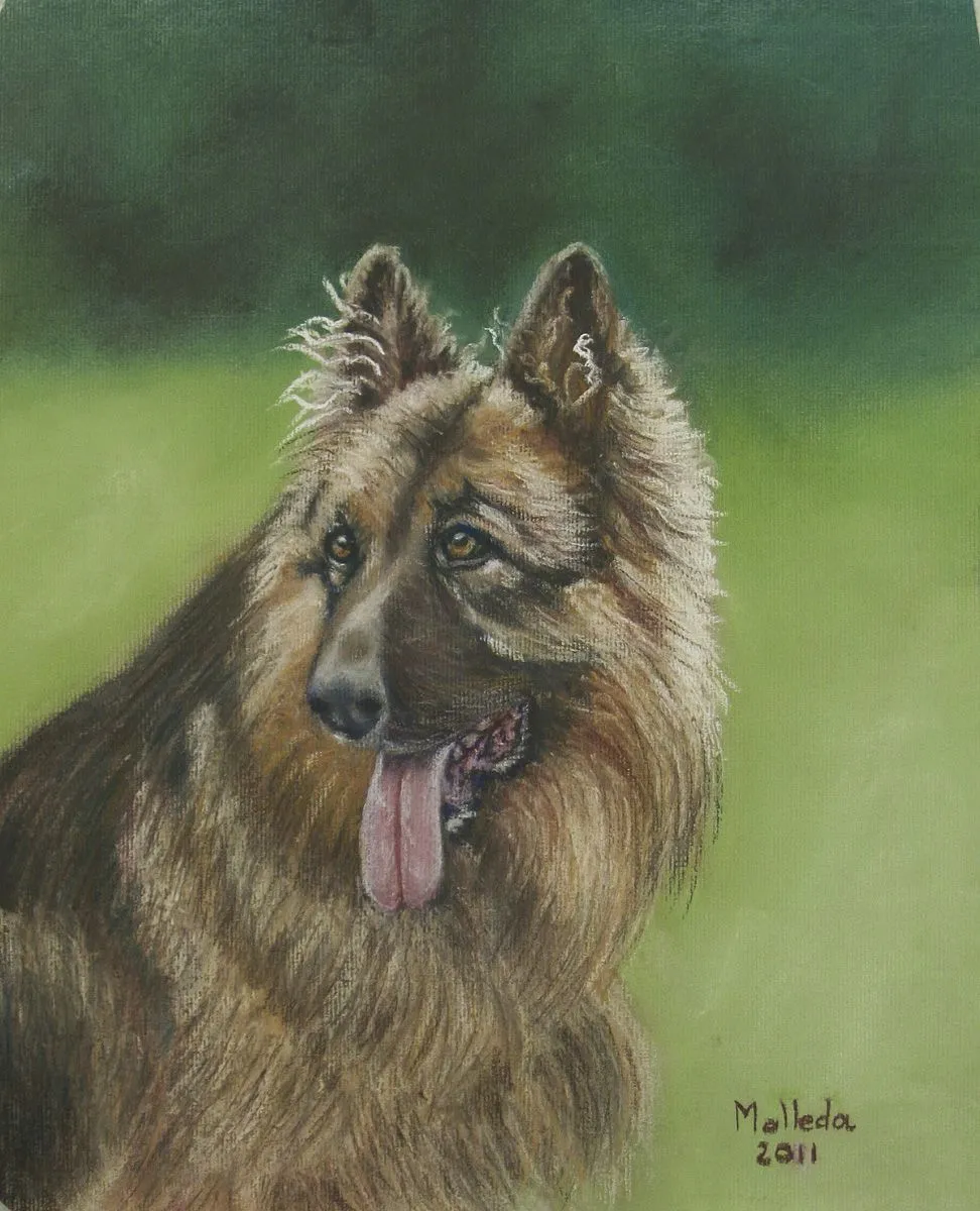 Entre telas y pinturas: Ultimos cuadros