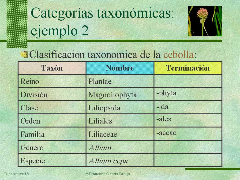 Tema 18: Diversidad. Clasificación y nomenclatura de los seres vivos. Tema 18: Diversidad. Clasificación y nomenclatura de los seres vivos.