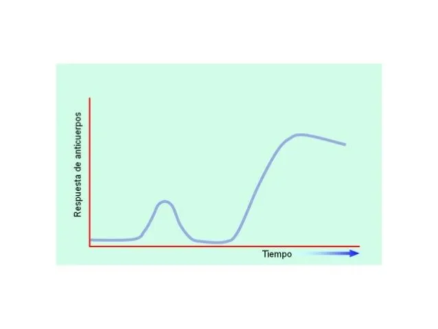 Tema 21 ) Inmunología y enfermedades | Alberto Fuentes