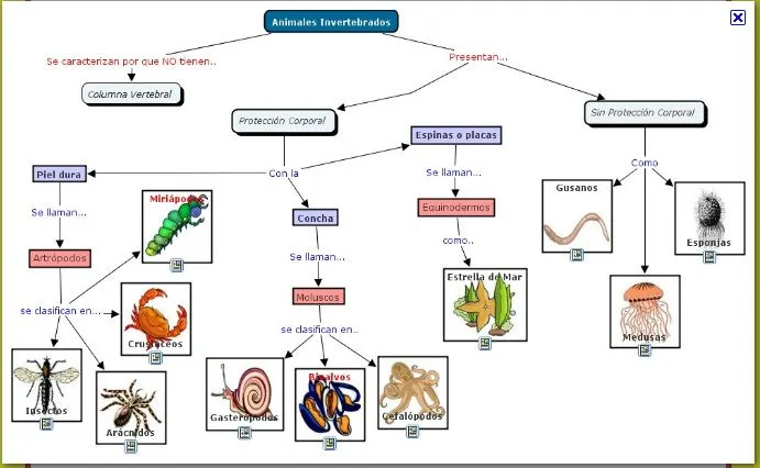 TEMA 3: LOS INVERTEBRADOS | martinhues45