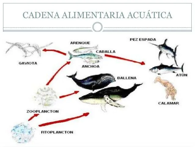 tema-5-el-medio-ambiente-y-su- ...