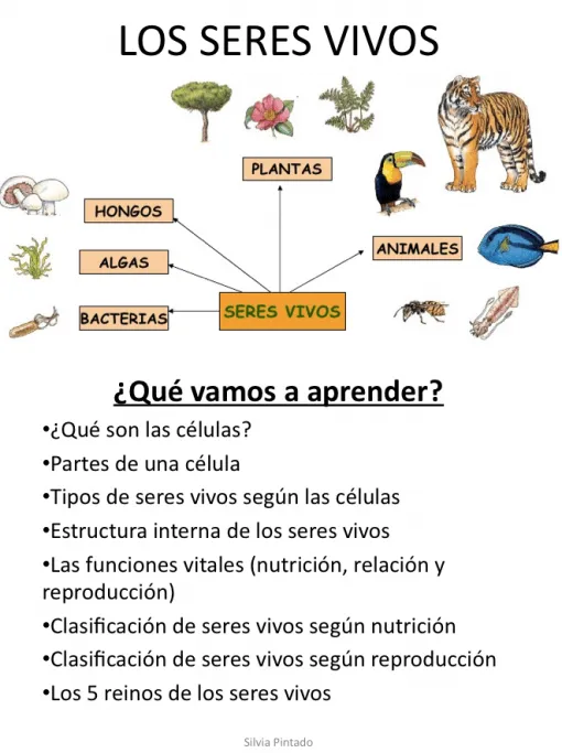 Tema 1 Ciencias Adaptado 5º E.P. LOS SERES VIVOS - Aula PT