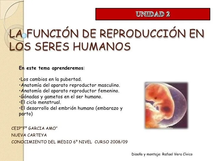 Tema 2 La FuncióN De ReproduccióN En El Ser Humano Tema 2 La FuncióN De ReproduccióN En El Ser Humano