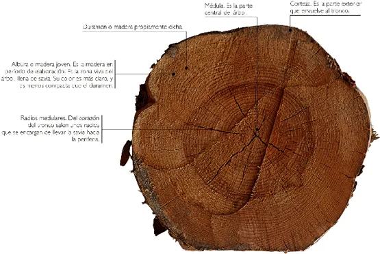 TEMA 3 MATERIALES Y LA MADERA | Blog de alumn@s de 2ºESO TEMA 3 MATERIALES Y LA MADERA | Blog de alumn@s de 2ºESO