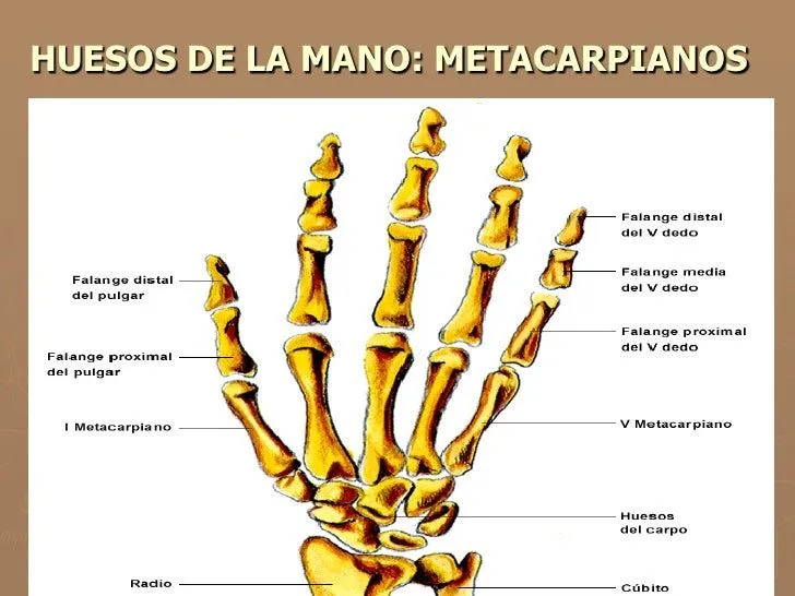 Tema 4 (parte iii)