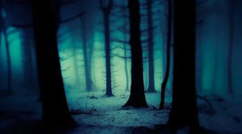 Tema para Windows 7 gratis de bosques tenebrosos | Software ...