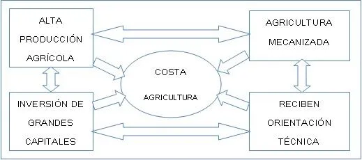 Temas Importantes: Actividades Economicas en el Peru. Temas Importantes: Actividades Economicas en el Peru.