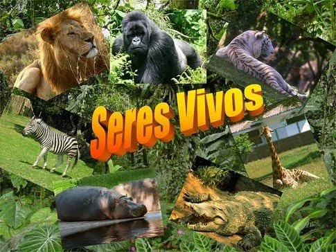 La Temperatura y los Seres Vivos - Te interesa saber La Temperatura y los Seres Vivos - Te interesa saber