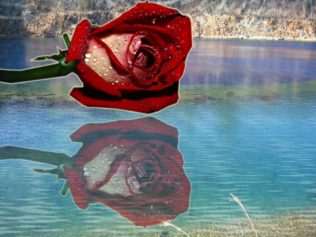 Tempestad en el corazón: ROSA