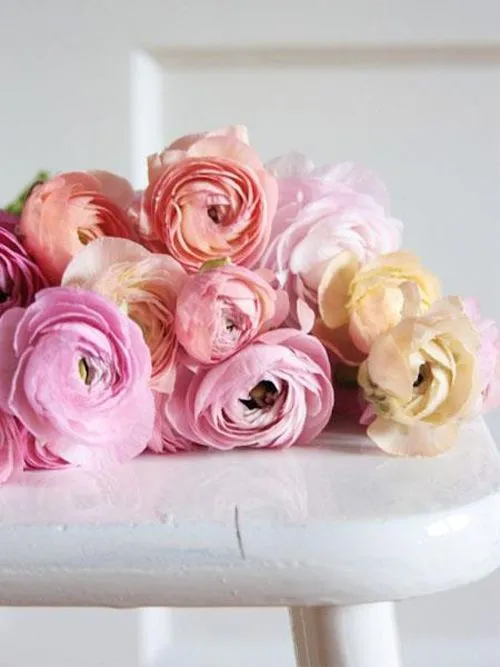 Las tendencias en bodas 2013 | Club de Novias Las tendencias en bodas 2013 | Club de Novias