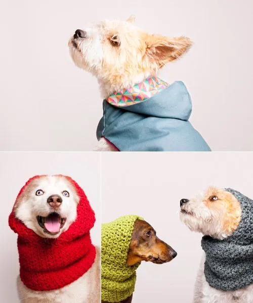 Tendencias en moda perruna con Pepito&Co. - La vida al bies. Blog ... Tendencias en moda perruna con Pepito&Co. - La vida al bies. Blog ...