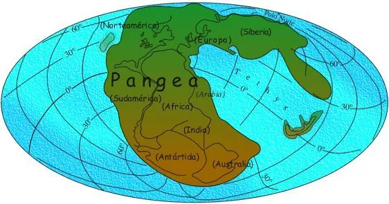 teoblog: LA DERIVA CONTINENTAL EN IMÁGENES