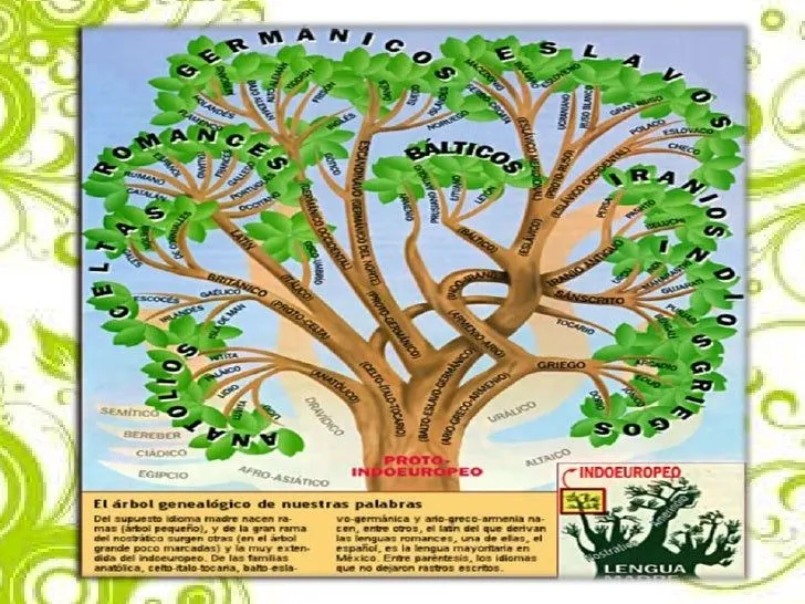 teora-del-rbol-genealgico-7- ...