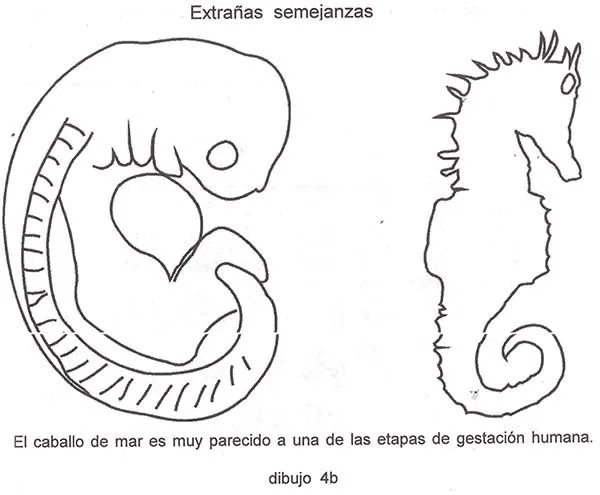 Nueva téoria de la evolución - Response to Discover Interview ...