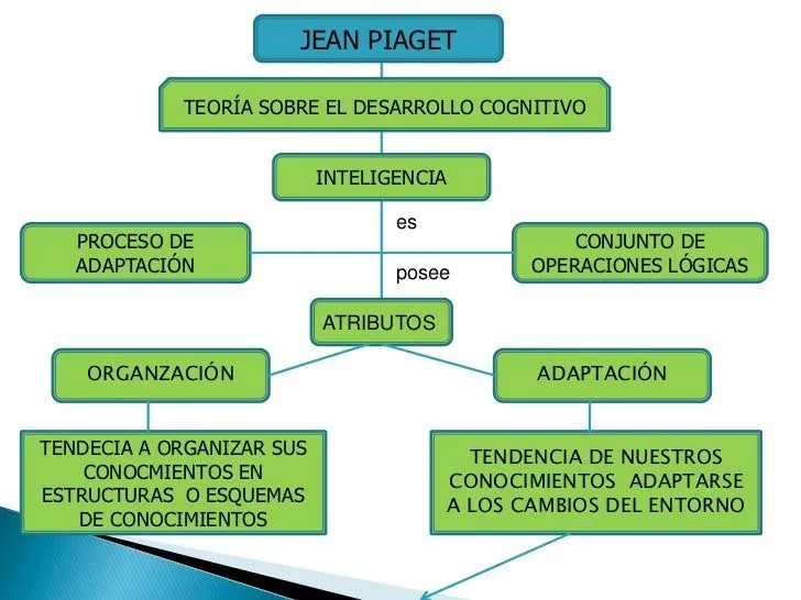teoria-genetica-de-jean-piaget ...