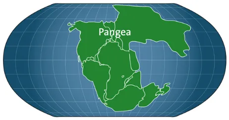 LA TEORIA DE PANGEA - Siguenos en: @ mparalelos LA TEORIA DE PANGEA - Siguenos en: @ mparalelos