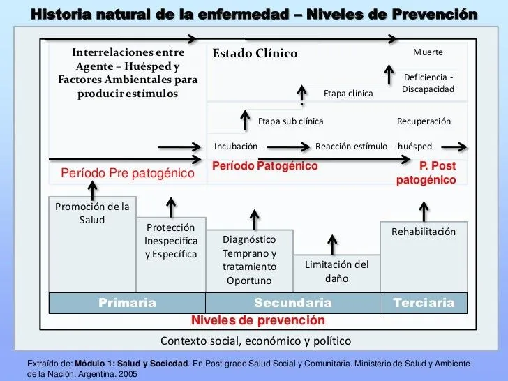Teórico: Historia Natural de la Enfermedad y Niveles de Prevención Teórico: Historia Natural de la Enfermedad y Niveles de Prevención
