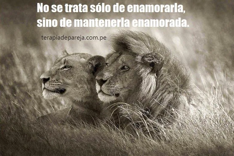 Terapia de Pareja: enero 2015