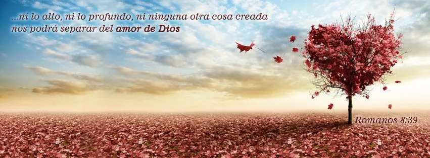 Tercer dia - Portadas para facebook con palabra para ti