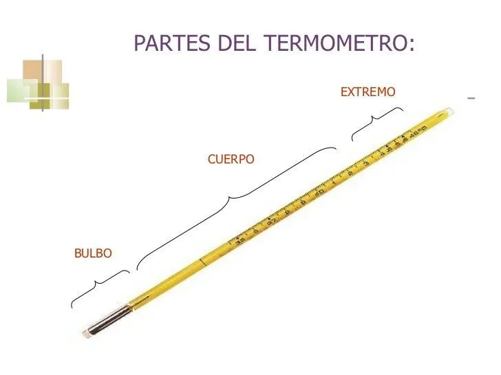 El termometro y sus partes - Imagui