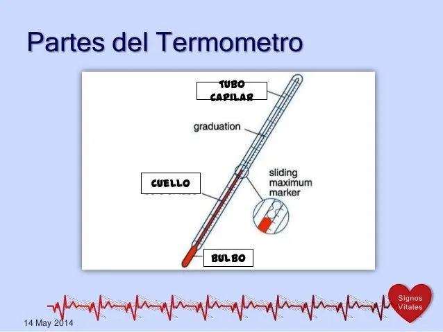 Termometro y suspartes - Imagui