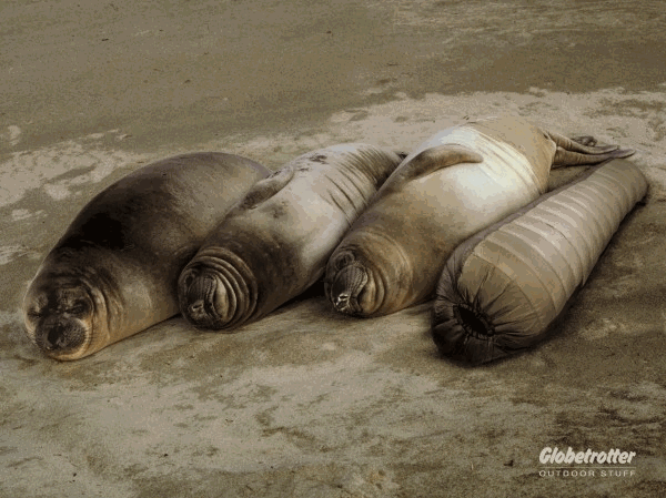 Ternura garantizada: Los animales en la publicidad (página 3 ...