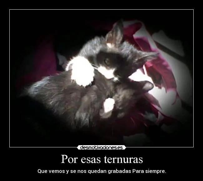 Por esas ternuras | Desmotivaciones