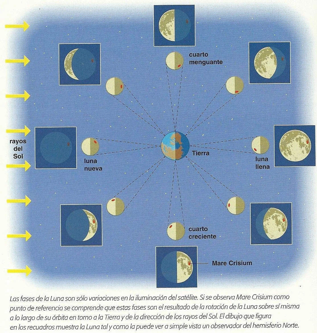 Tertulias poéticas: ¿POR QUÉ VEMOS LO QUE VEMOS DE LA LUNA? Tertulias poéticas: ¿POR QUÉ VEMOS LO QUE VEMOS DE LA LUNA?