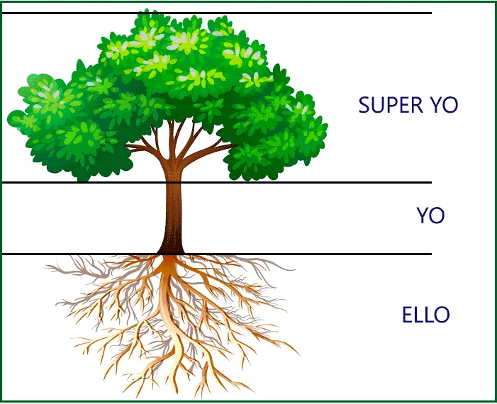 Test Gráfico del Árbol, qué es y cómo se interpreta Test Gráfico del Árbol, qué es y cómo se interpreta