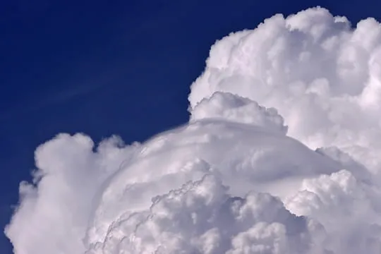 La tête dans un gros nuage : La nature par tous les temps ...