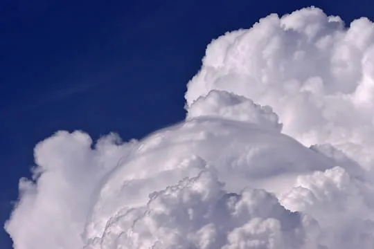 La tête dans un gros nuage : La nature par tous les temps ... La tête dans un gros nuage : La nature par tous les temps ...