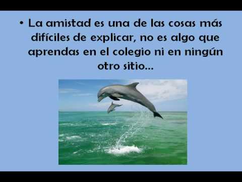 Texto sobre la amistad. - YouTube