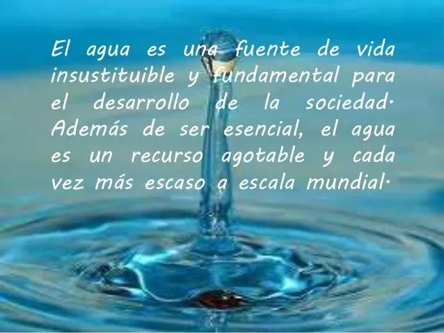 Textos sobre el agua recopilados por Brisa Panichelli