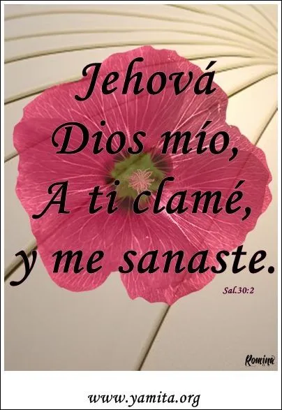 Textos Biblicos Para Evangelizar | Postales Cristianas:El que ama ... Textos Biblicos Para Evangelizar | Postales Cristianas:El que ama ...