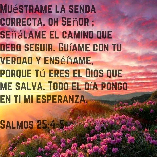 textos bonitos on Pinterest | Dios, Biblia and Frases