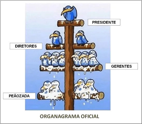 TEXTOS ENGRAÇADOS e CRONICAS ENGRAÇADAS: Organograma Oficial ... TEXTOS ENGRAÇADOS e CRONICAS ENGRAÇADAS: Organograma Oficial ...